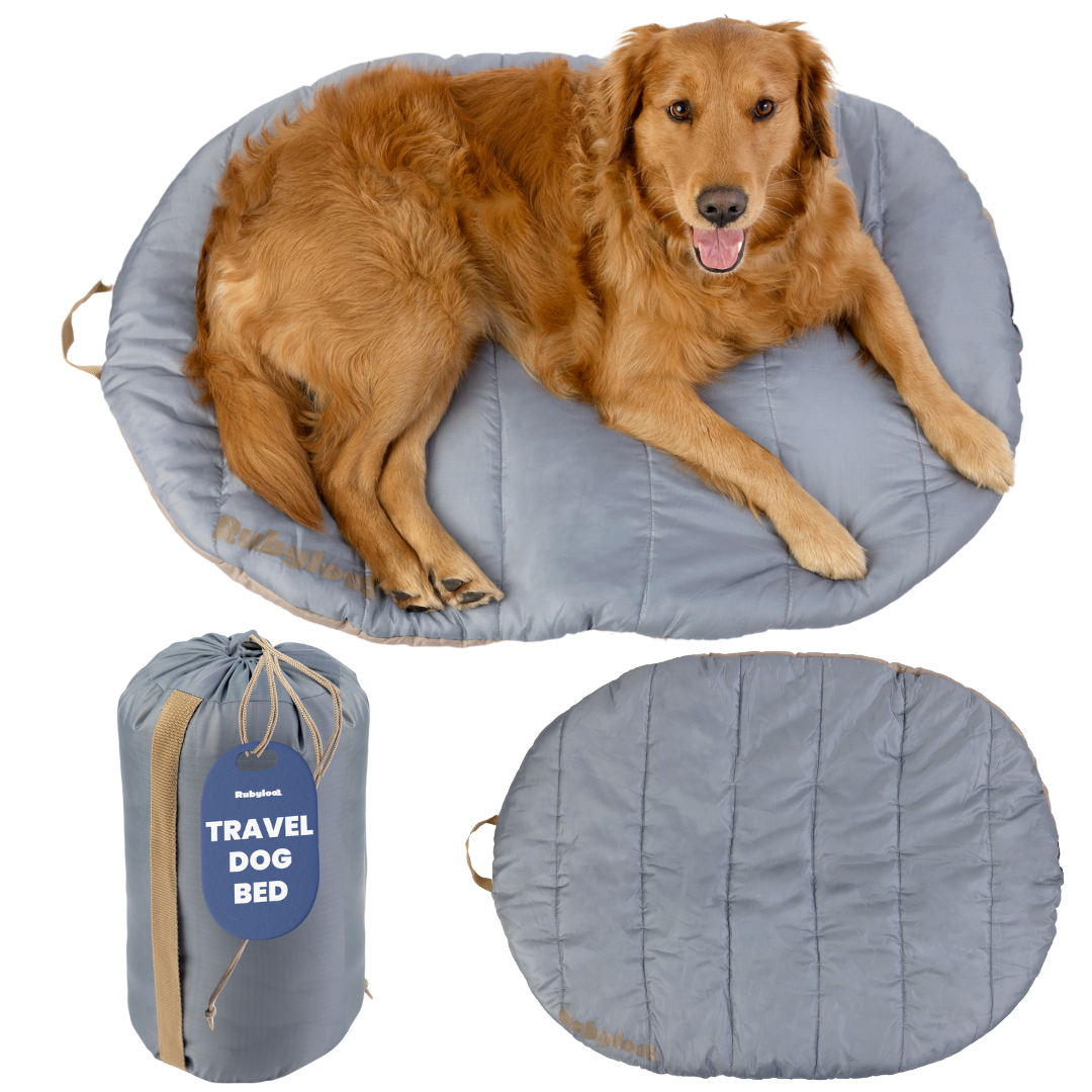 Travel Dog Bed – Foldable, Lightweight, Water Resistant Mat